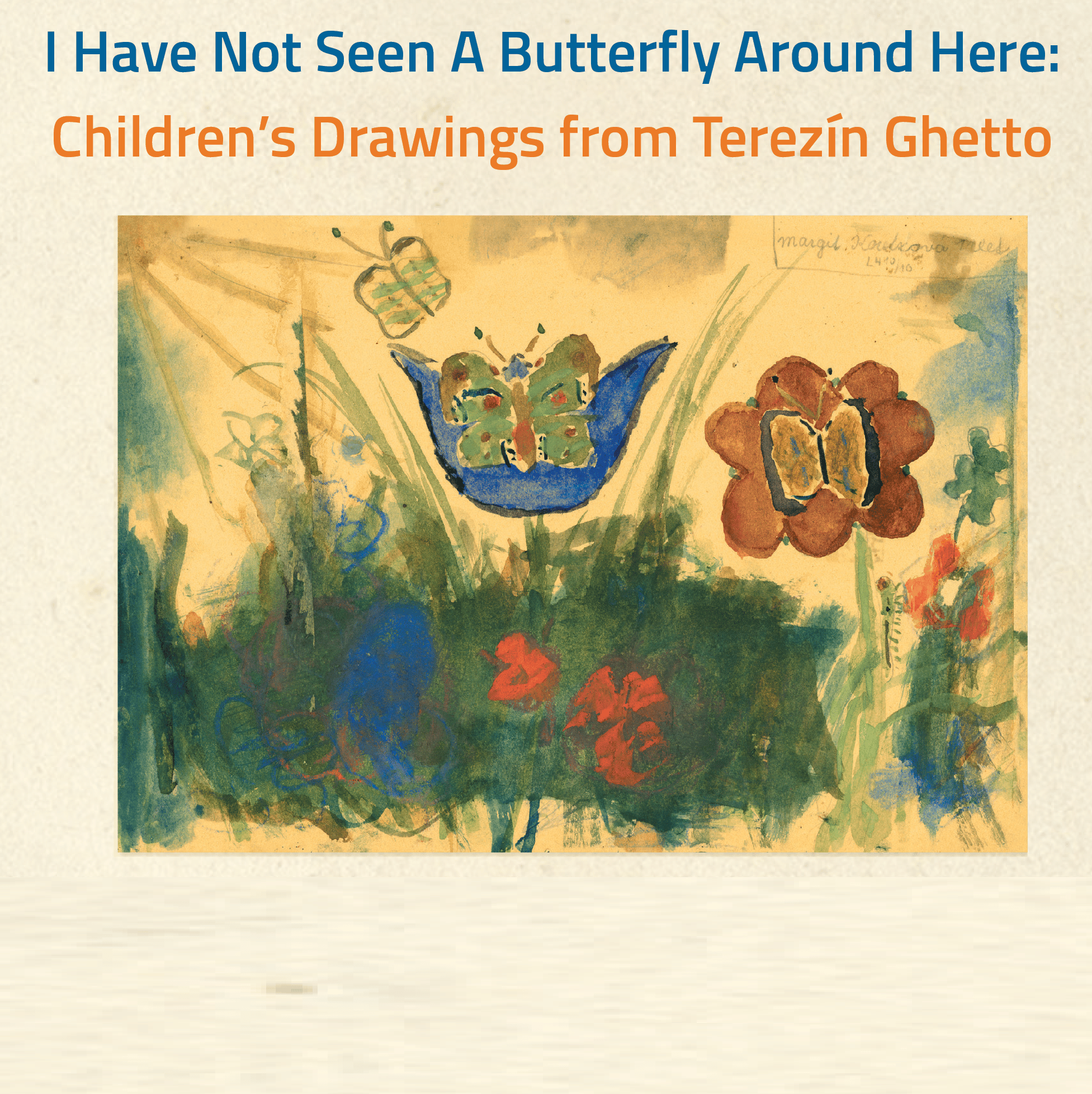 I have not seen a butterly around here